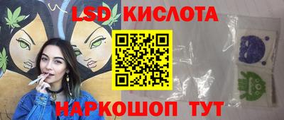 прущие грибы Новозыбков