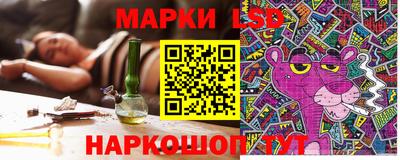 прущие грибы Новозыбков