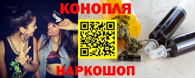 прущие грибы Новозыбков