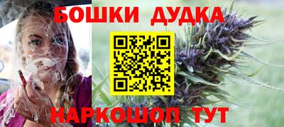 прущие грибы Новозыбков