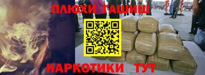 прущие грибы Новозыбков
